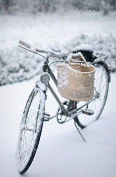 期待一场大雪,埋藏这个秋天我所有的记忆