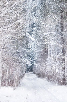 约你陪我一起去看雪 唯美雪景图片大全